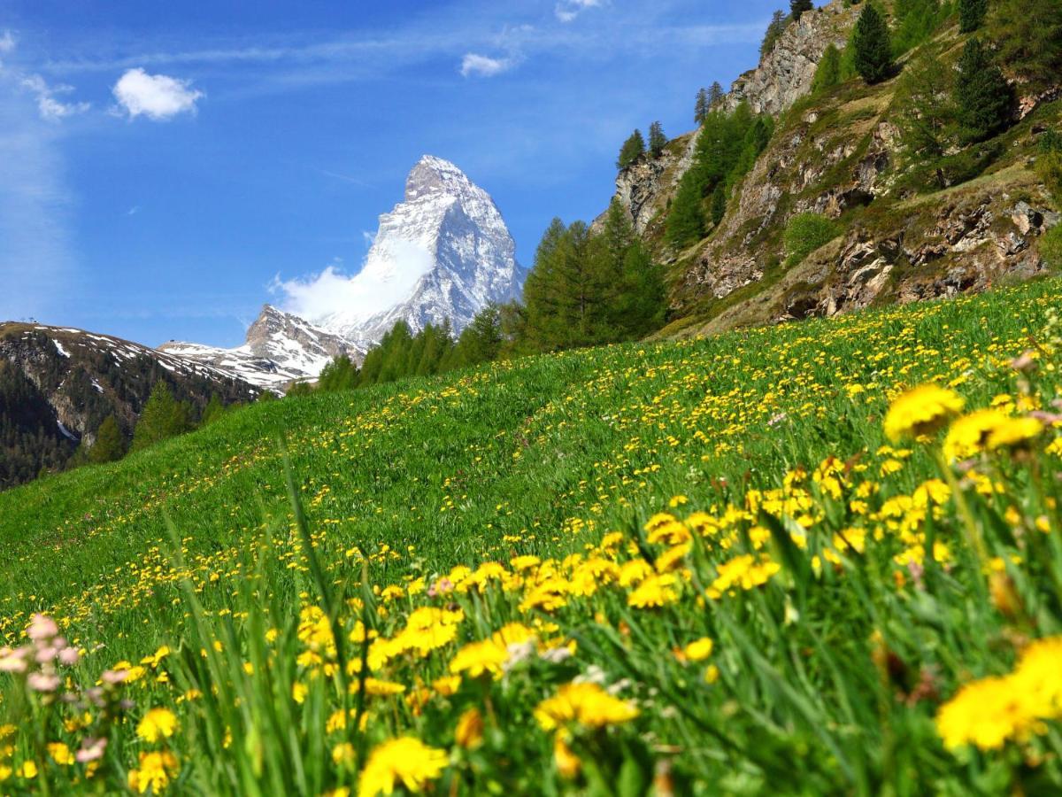 Apartment Silence-1 By Interhome Zermatt Zewnętrze zdjęcie